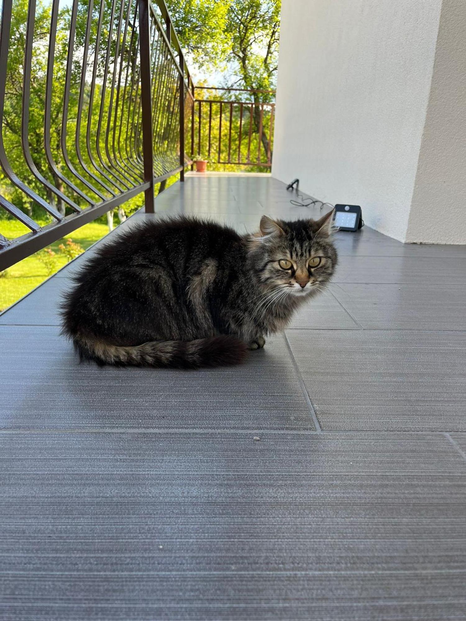 Apartment Anna Saborsko المظهر الخارجي الصورة